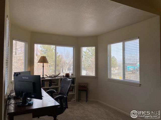 carpeted home office featuring a textured ceiling