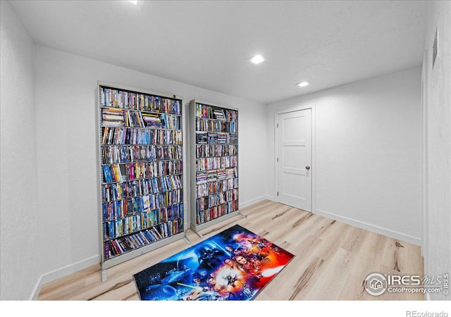 playroom with wood-type flooring