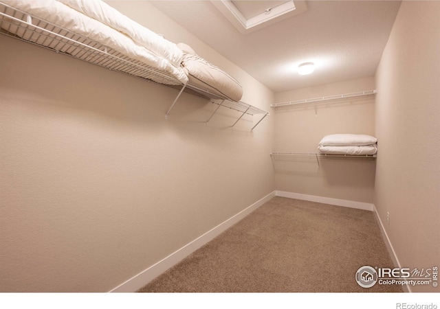 walk in closet featuring carpet and attic access