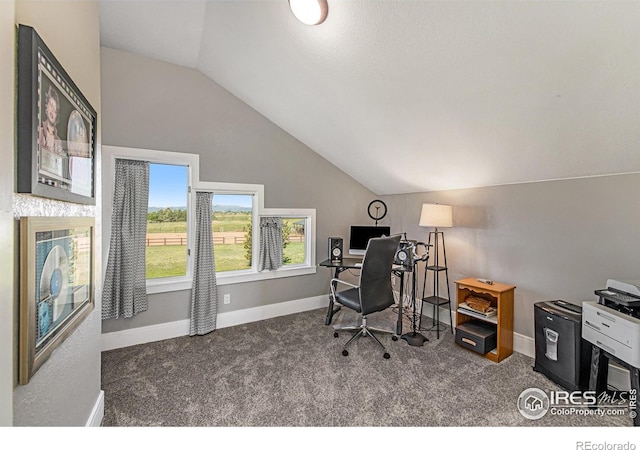 office featuring carpet flooring and lofted ceiling