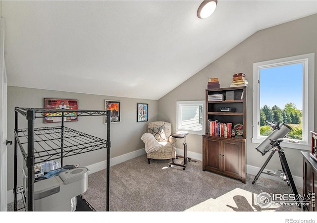 bedroom with light colored carpet and lofted ceiling