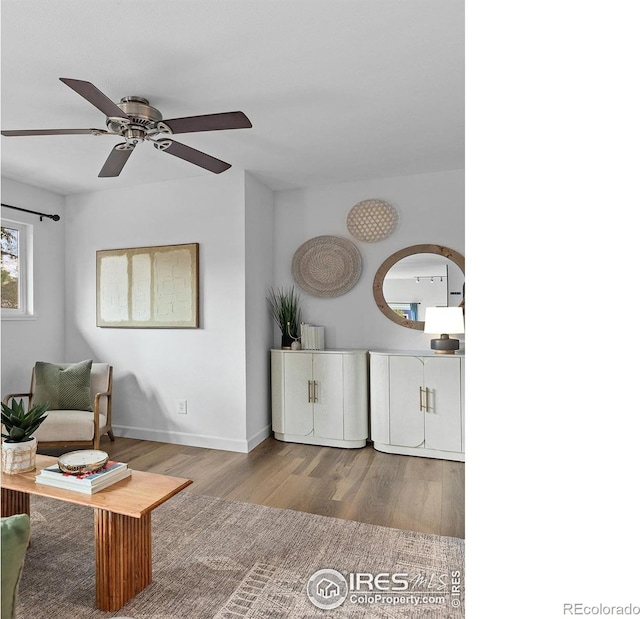 living room with ceiling fan and light wood-type flooring