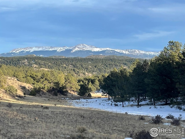 0 Slater Creek Rd, Florissant CO, 80816 land for sale