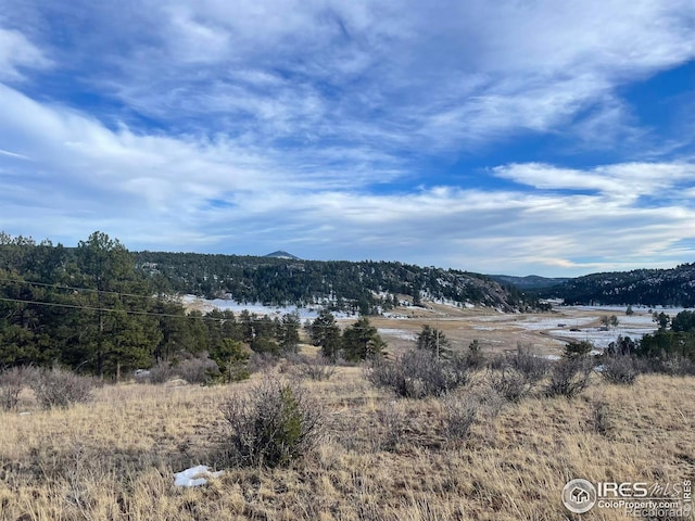 0 Slater Creek Rd, Florissant, CO 80816