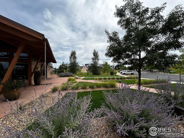 view of yard with a patio