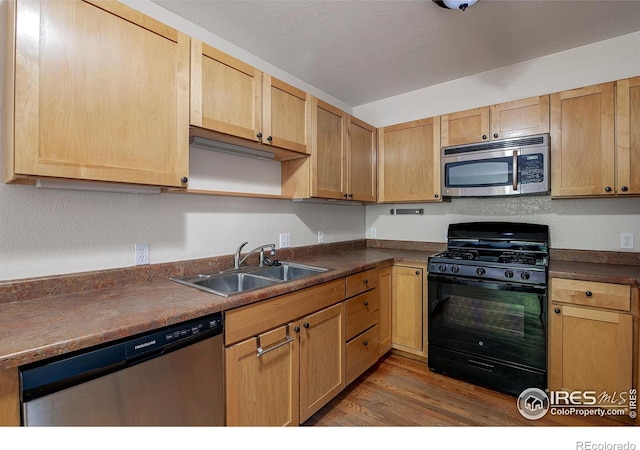 kitchen with dark hardwood / wood-style flooring, sink, and stainless steel appliances