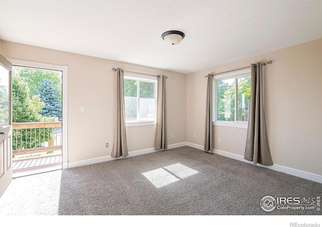 carpeted spare room featuring a wealth of natural light