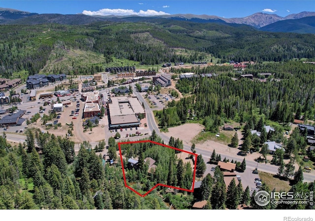 birds eye view of property featuring a mountain view