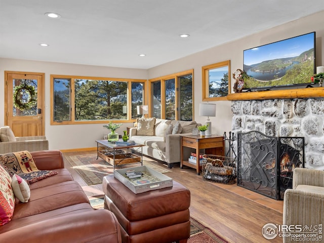 living room with a fireplace and light hardwood / wood-style floors