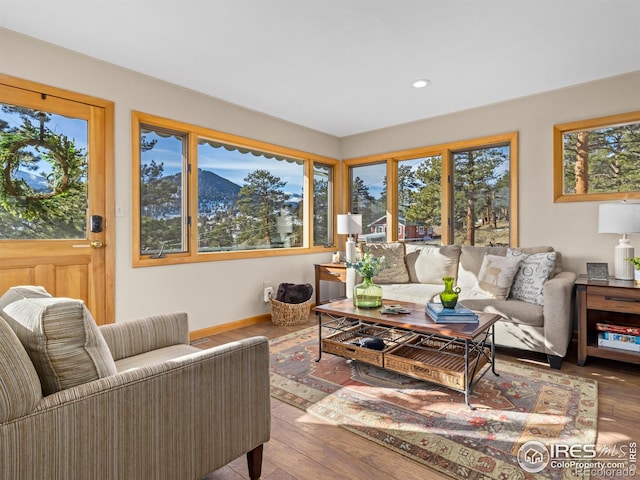 living room with a mountain view and hardwood / wood-style flooring