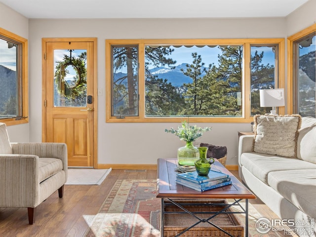 living room with hardwood / wood-style floors and a wealth of natural light