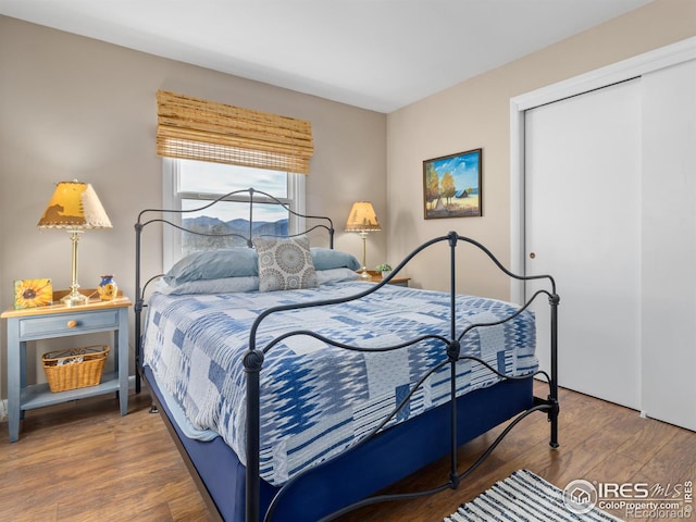 bedroom with hardwood / wood-style flooring and a closet