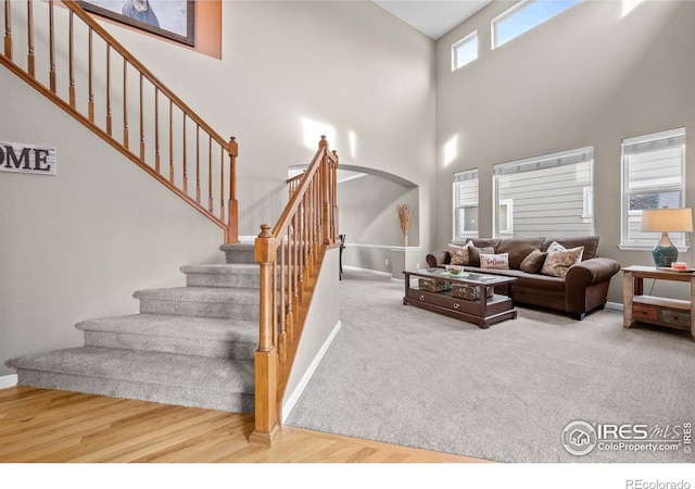 carpeted living room featuring a high ceiling