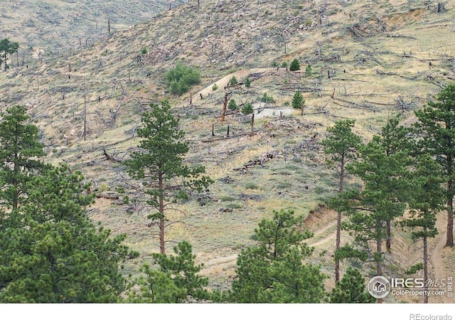 6319 Sunshine Canyon Dr, Boulder, CO 80302 - view of mountain backdrop
