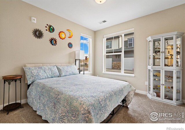 bedroom with carpet floors