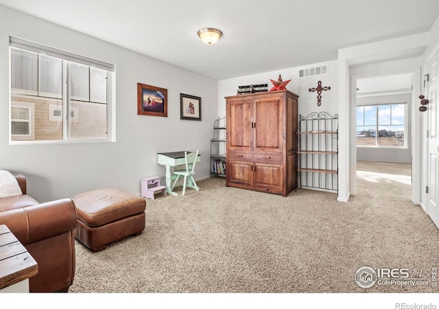 sitting room with light carpet