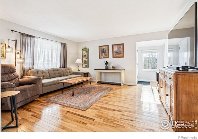 living room featuring light hardwood / wood-style floors