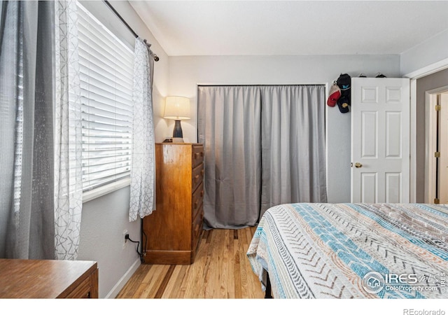 bedroom featuring light hardwood / wood-style floors