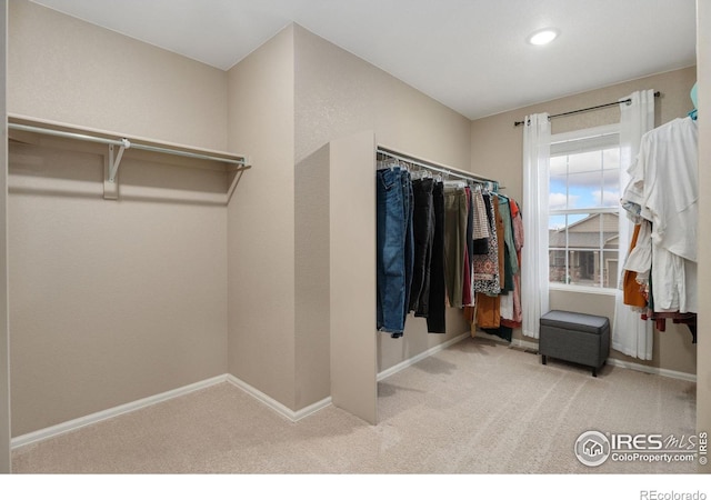 spacious closet with light carpet