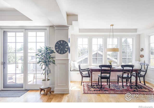 dining space with plenty of natural light, light wood-type flooring, and crown molding