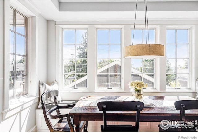 dining space with plenty of natural light