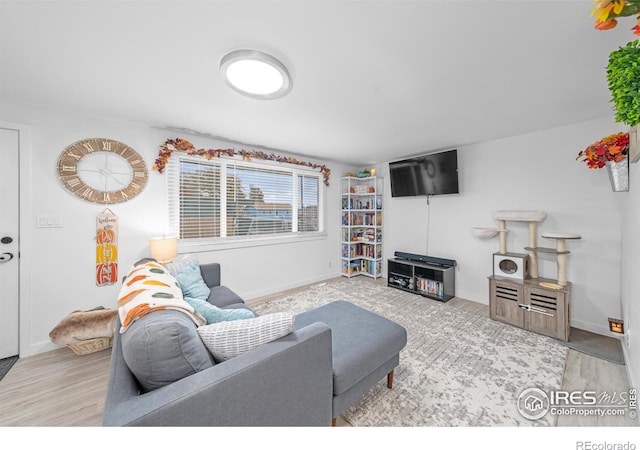 living room with light hardwood / wood-style floors