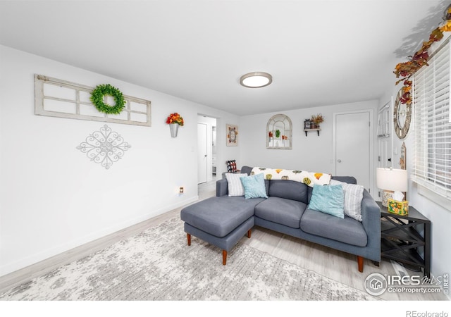 living room featuring hardwood / wood-style floors