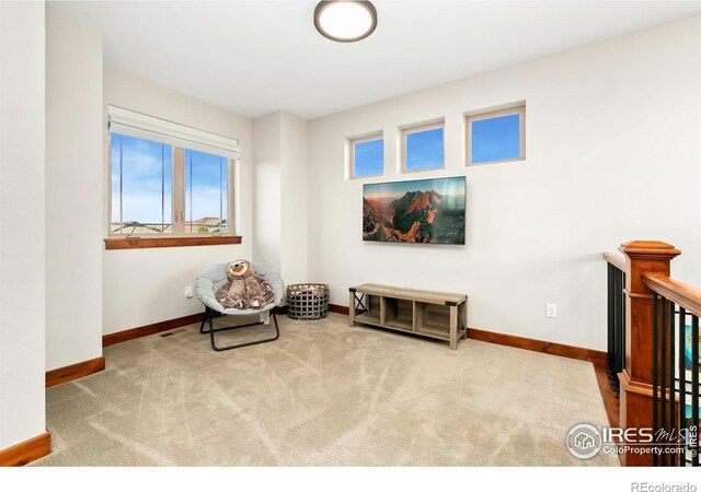 sitting room with carpet floors