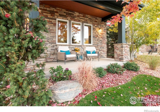 view of patio / terrace featuring covered porch