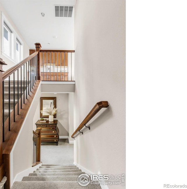 stairway featuring carpet