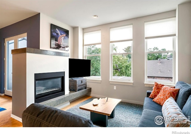 living room featuring hardwood / wood-style floors