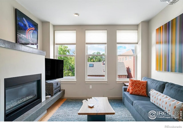 living room with hardwood / wood-style flooring