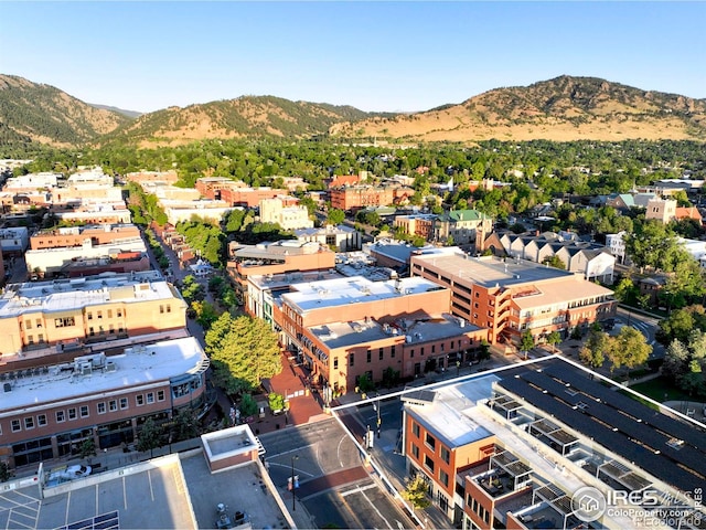 birds eye view of property featuring a mountain view