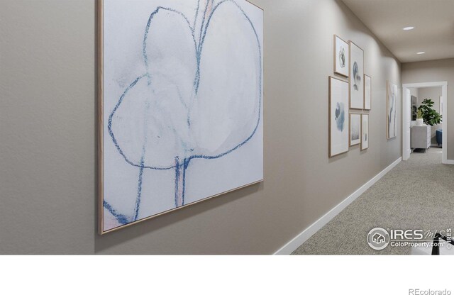 410 High Point Dr Unit 104, Longmont, CO 80504 - corridor with carpet