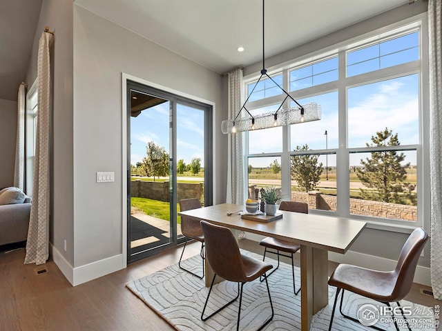 dining space featuring hardwood / wood-style flooring