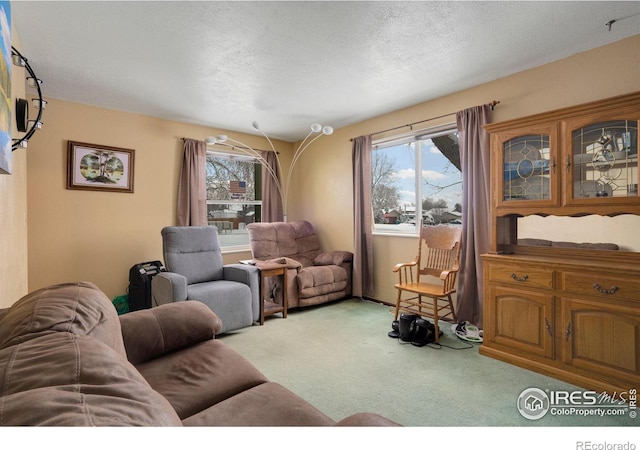 carpeted living room with a textured ceiling