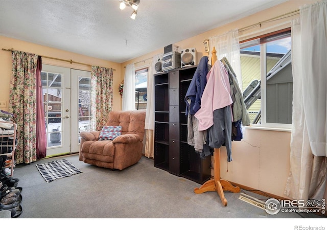 living area featuring carpet flooring, a textured ceiling, and a healthy amount of sunlight