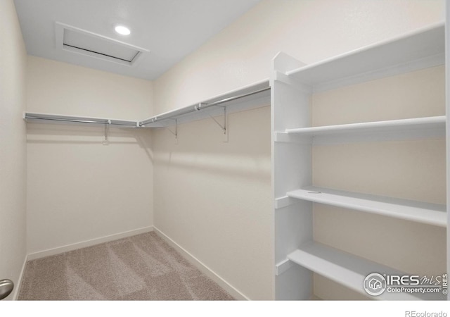 spacious closet featuring carpet floors