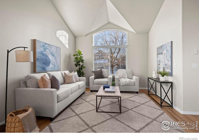 living room with wood-type flooring and lofted ceiling