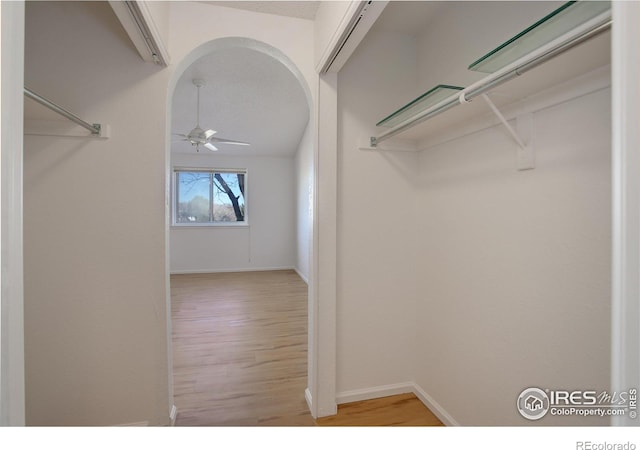 spacious closet with light wood-type flooring and ceiling fan