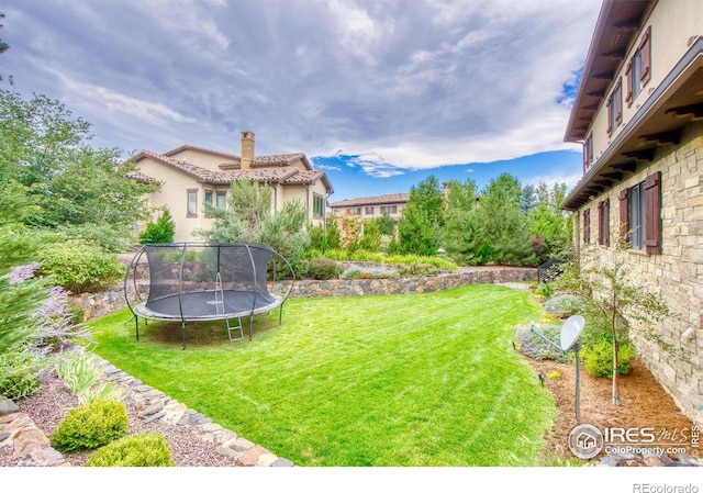 view of yard featuring a trampoline