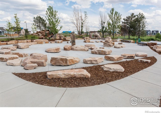 6109 Saddle Horn Dr, Timnath, CO 80547 - view of yard