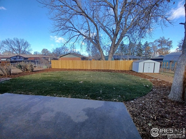 view of yard with a storage unit