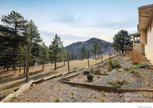 view of yard featuring a mountain view and a rural view