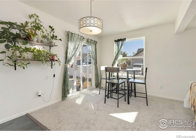 dining area featuring light carpet