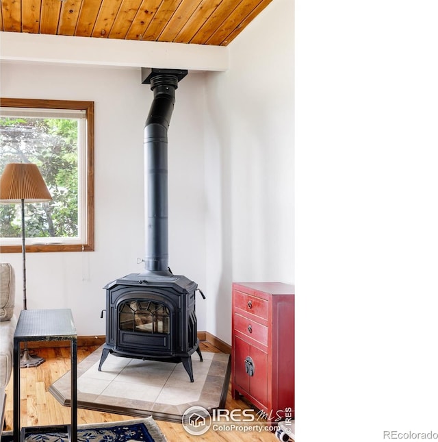 details featuring hardwood / wood-style floors, a wood stove, and wooden ceiling