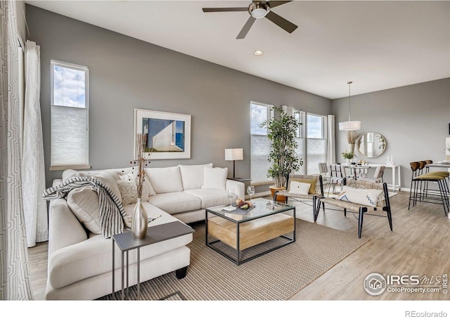 living room with ceiling fan and light wood-type flooring