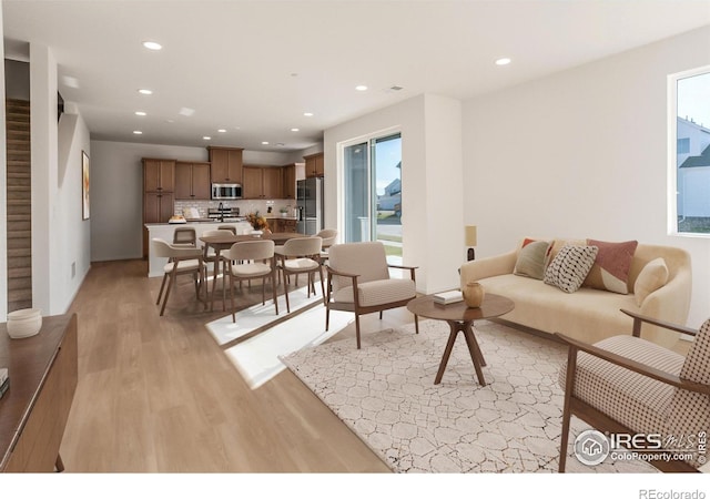 living room with light wood-type flooring