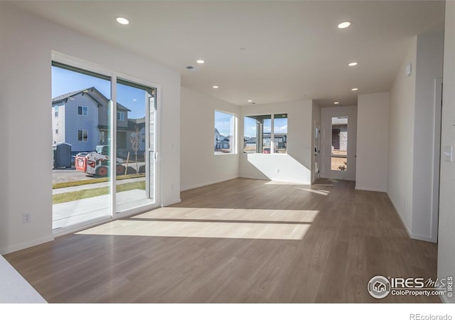 interior space featuring hardwood / wood-style floors and a wealth of natural light