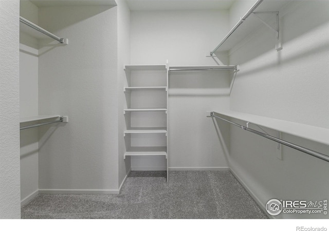 spacious closet featuring dark carpet